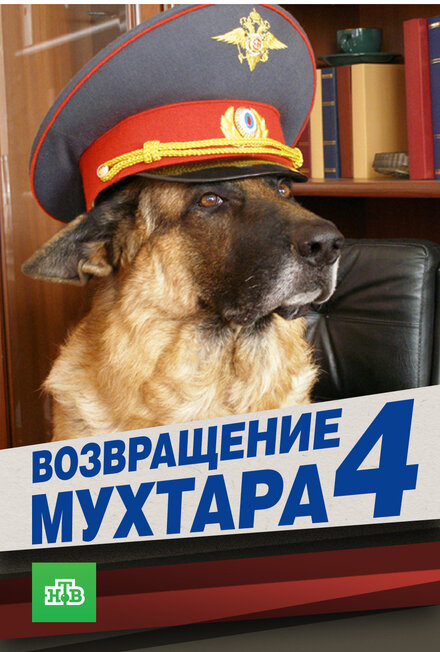 Возвращение Мухтара 4